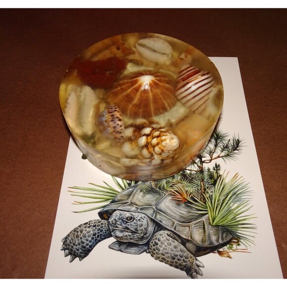 Vintage Handmade Seashell Resin Paperweight ocean theme beach office tikiroom - Picture 2 of 13